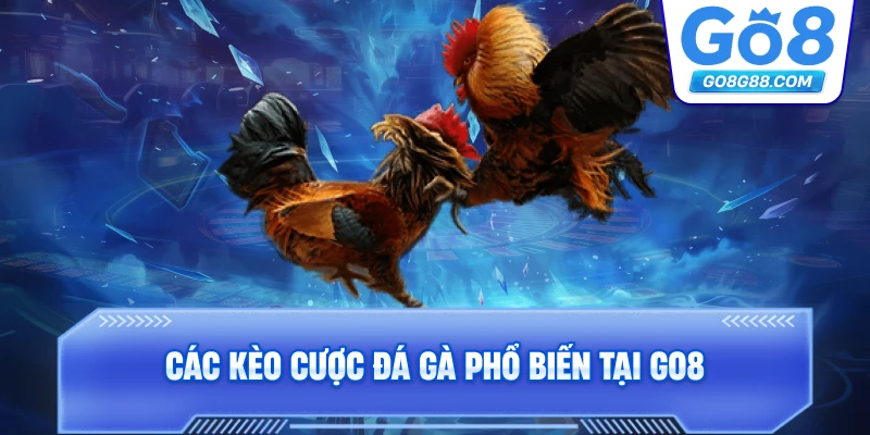 Các kèo cược Đá Gà phổ biến tại Go8.